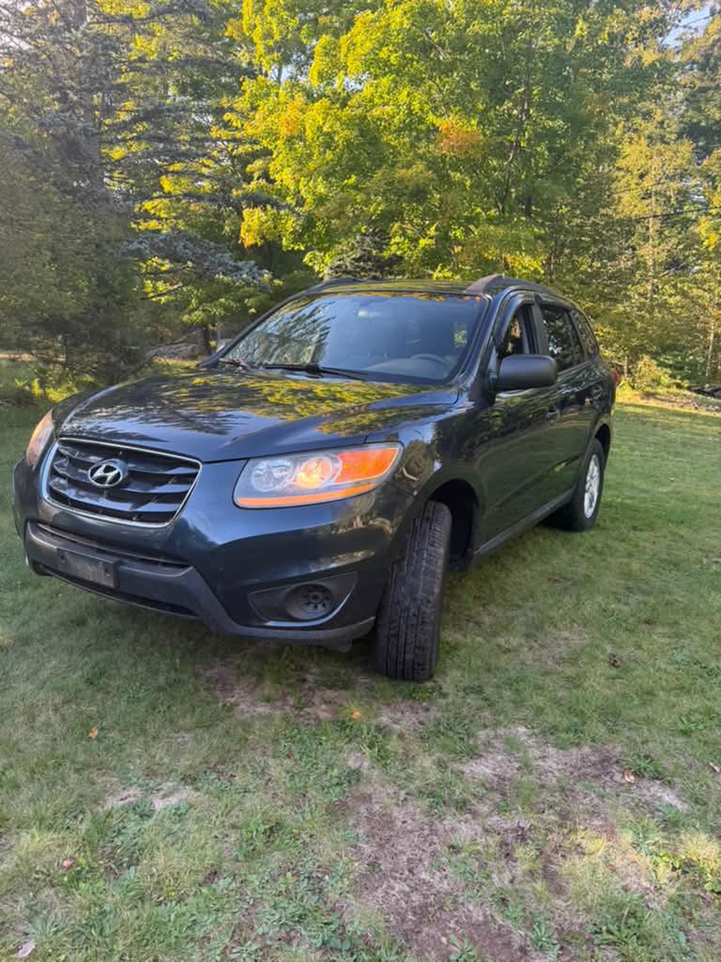 2010 Hyundai Santa Fe